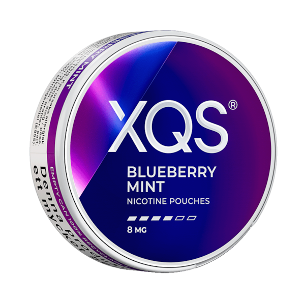 XQS Blueberry Mint (8 mg) can